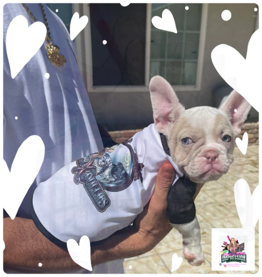 Sublimation Blank Dog Shirt W/Black Trim 100% Polyester